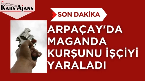 Arpaçay'da silahlı çatışma: Bir Vatandaş yaralandı